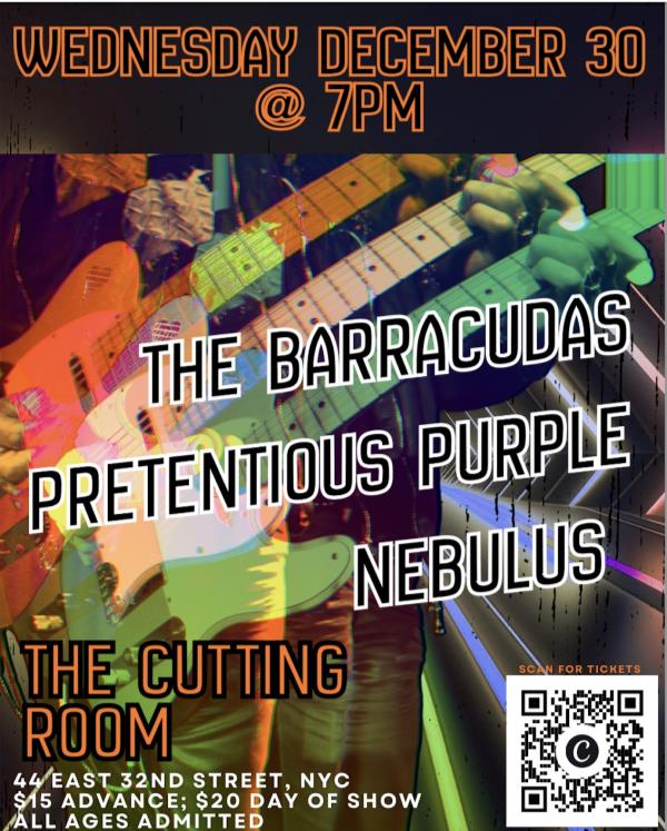 The Barracudas/Pretentious Purple/Nebulus: 
